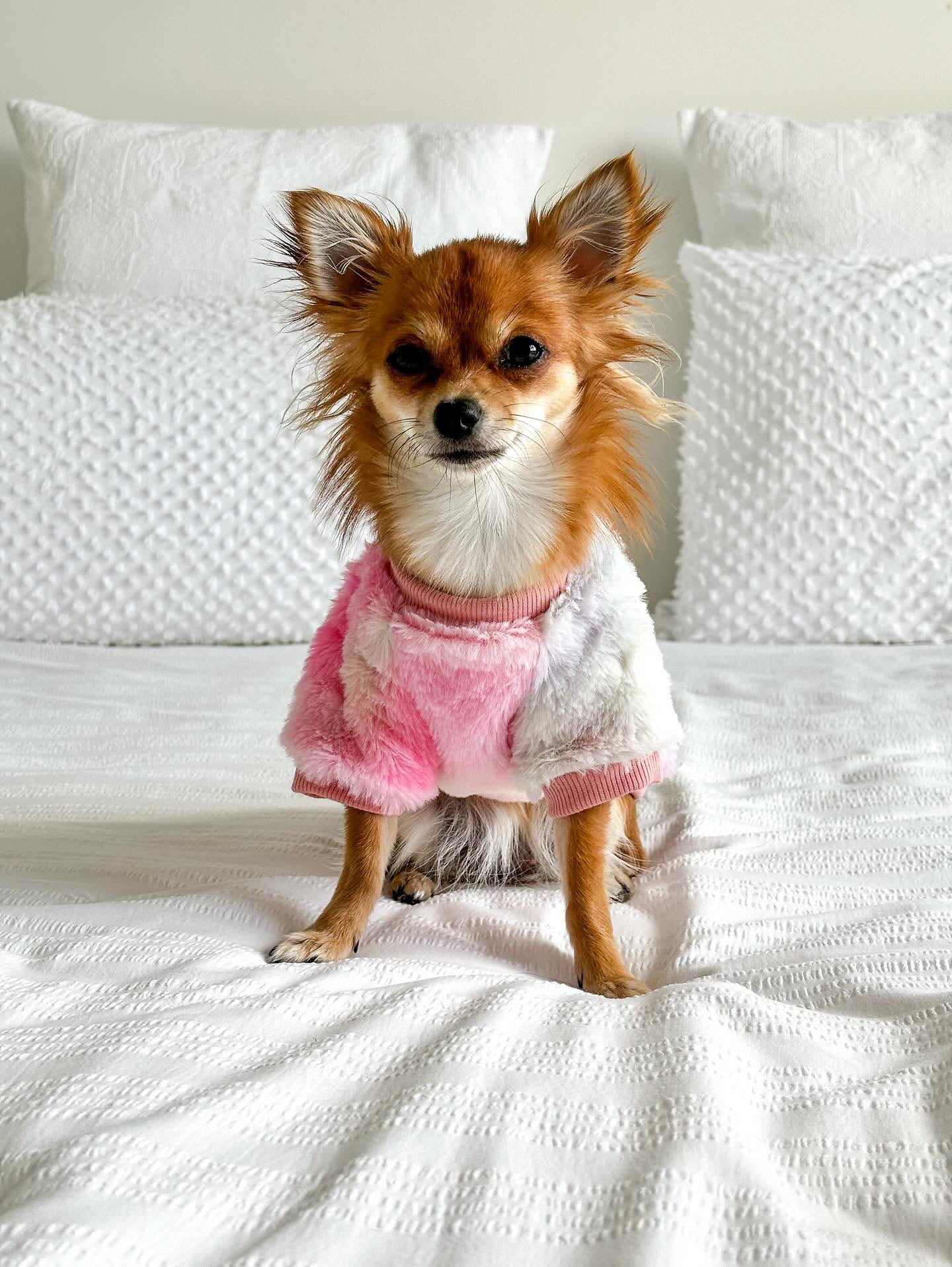 Fuzzy rainbow sweater sale